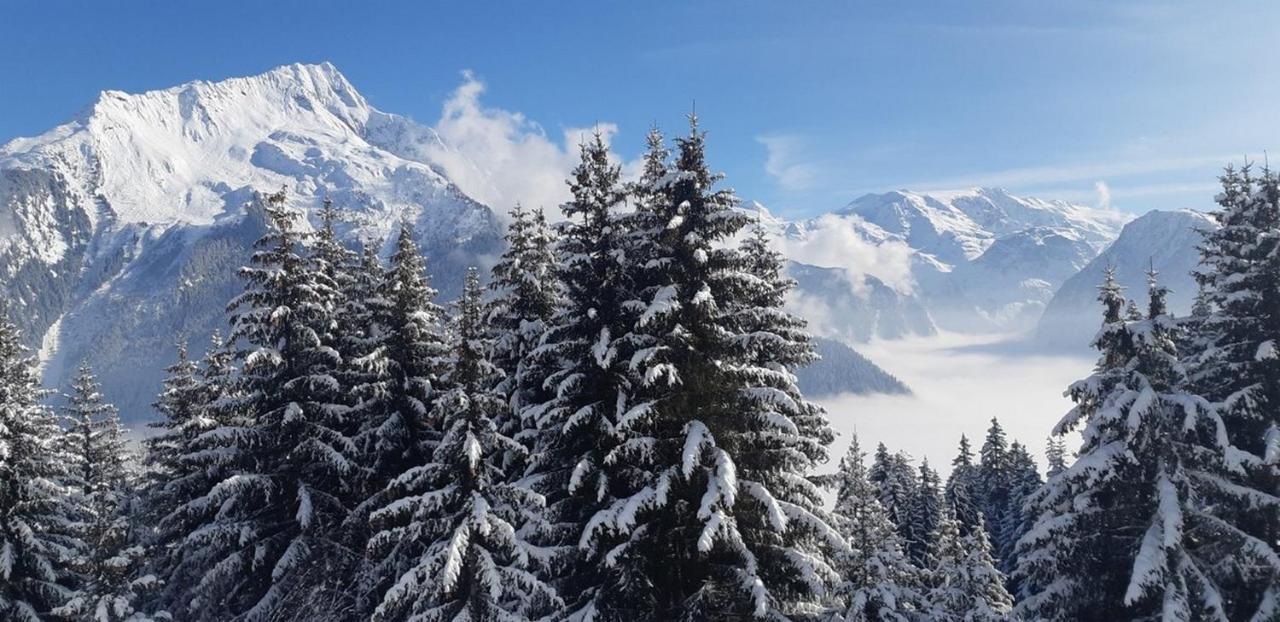 Les Glieres - Champagny-En-Vanoise Ла-Плань Екстер'єр фото
