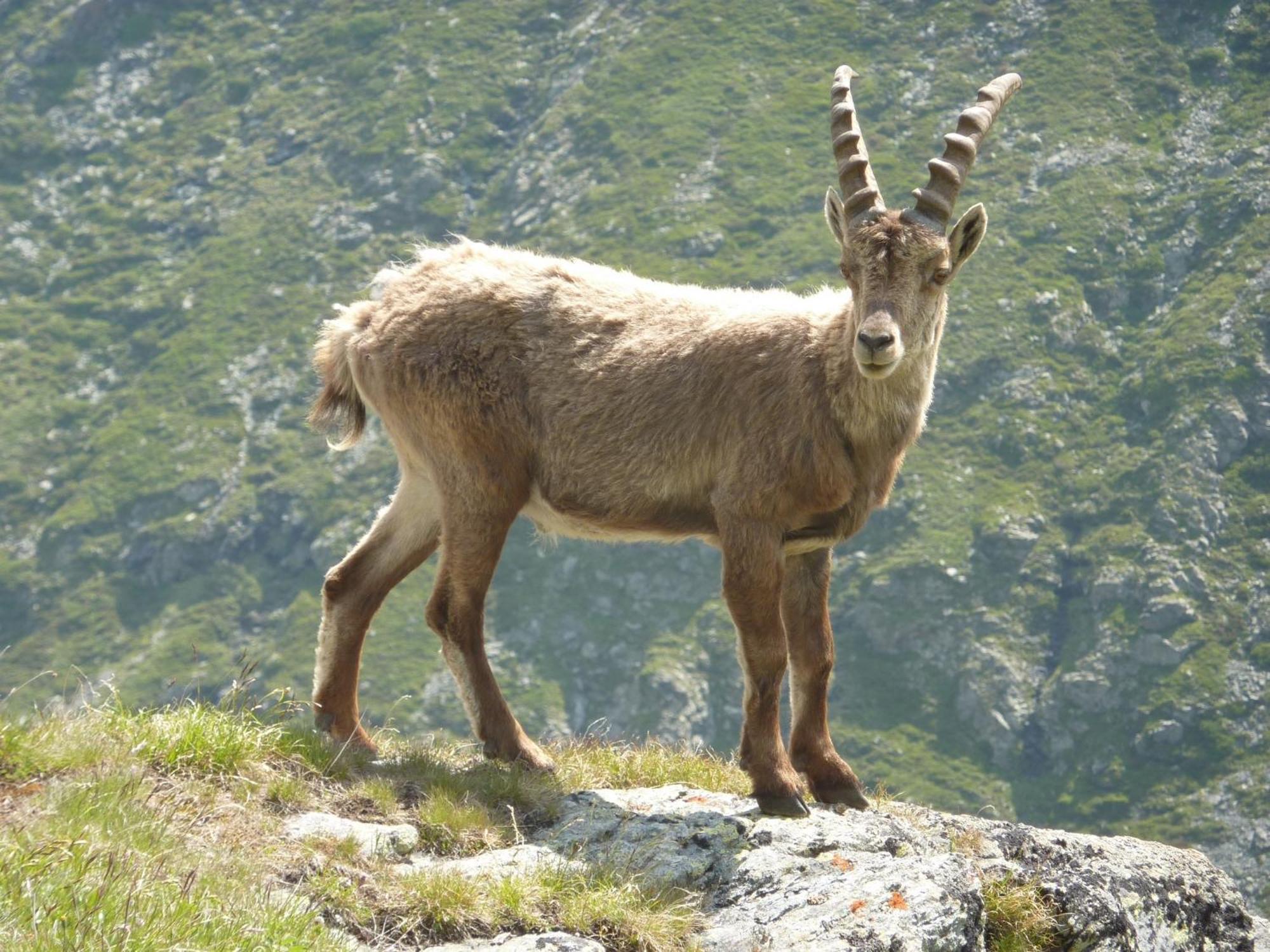 Les Glieres - Champagny-En-Vanoise Ла-Плань Екстер'єр фото